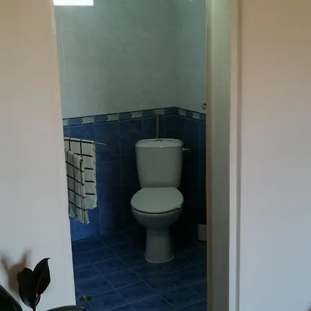 Guest house Вила Диана Galata