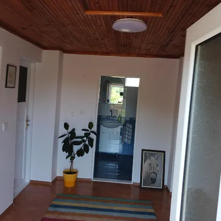 Вила Диана Guest house *