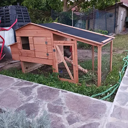 Вила Диана Guest house